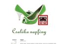 http://www.csalokanapfeny.com ismertető oldala